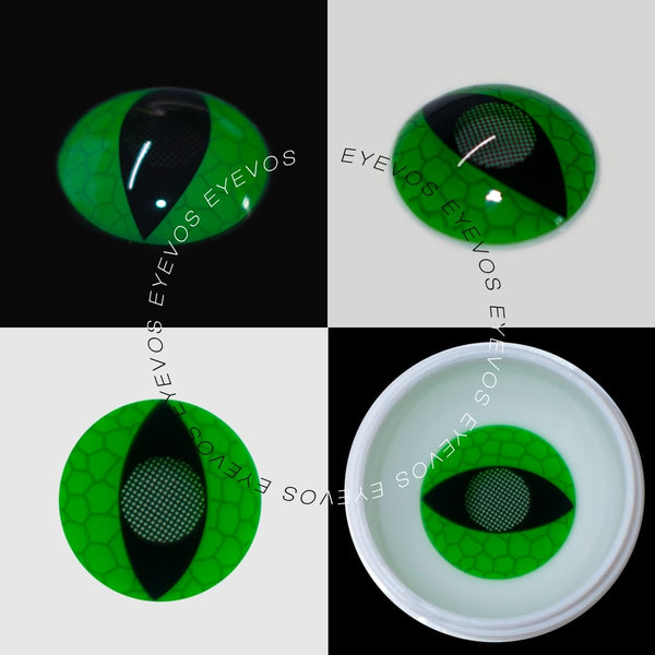 Medusas Eye  Contact Lenses