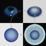 Wisteria Wonder Contact Lenses(12 months of use)