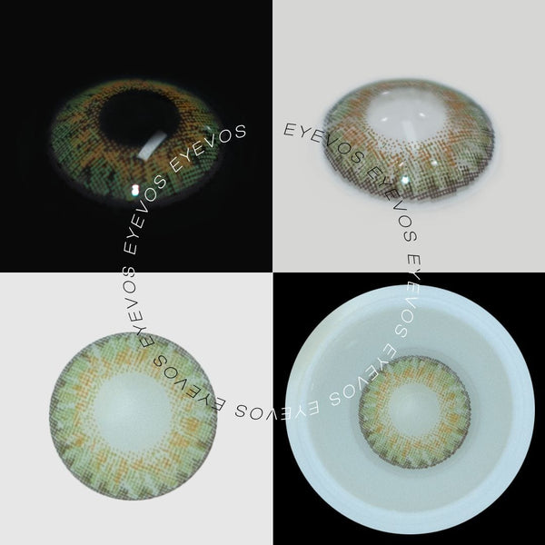 Daisies Fields Contact Lenses