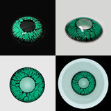 Fissure Green Colored Lenses