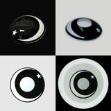 Night Moon Contact Lenses(12 months of use)
