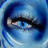 Ragdoll Cat Blue Colored Contact Lenses