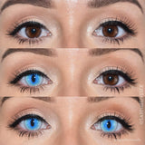 Ragdoll Cat Blue Colored Contact Lenses