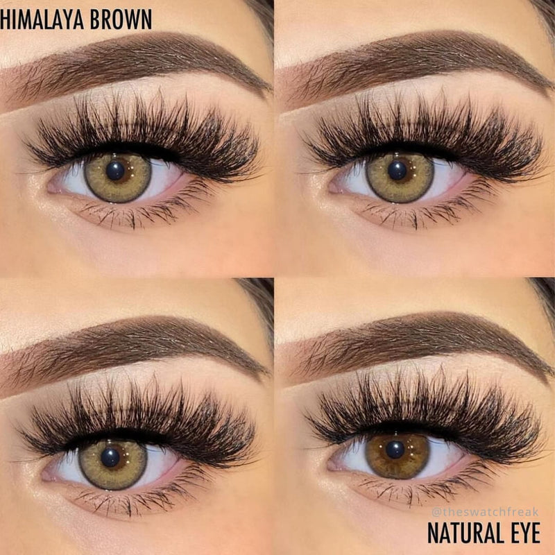 Himalaya Brown Contact Lenses